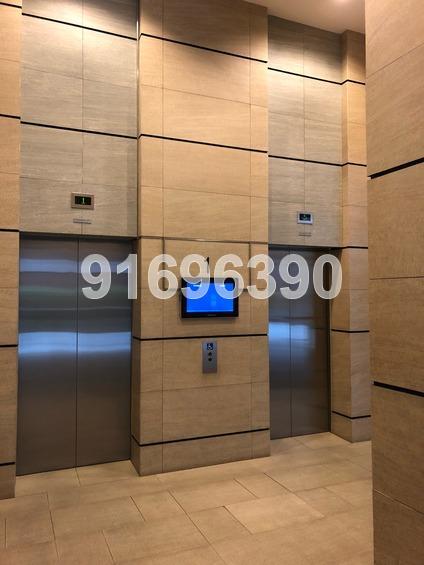 Meissa thumbnail photo